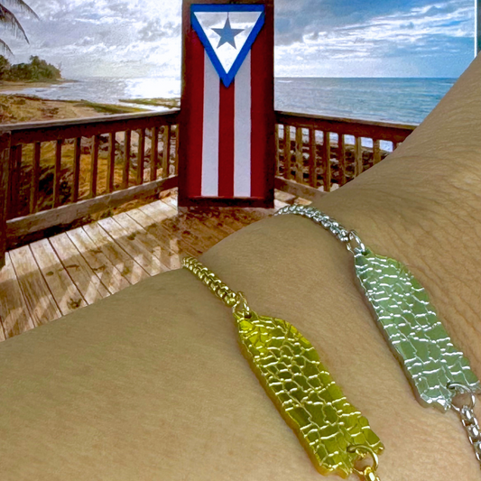 Pulsera PR Silver