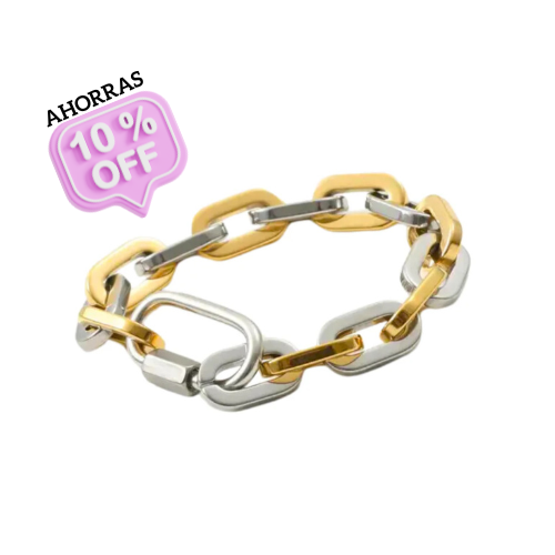 Links Bracelets/ Gold and Silver